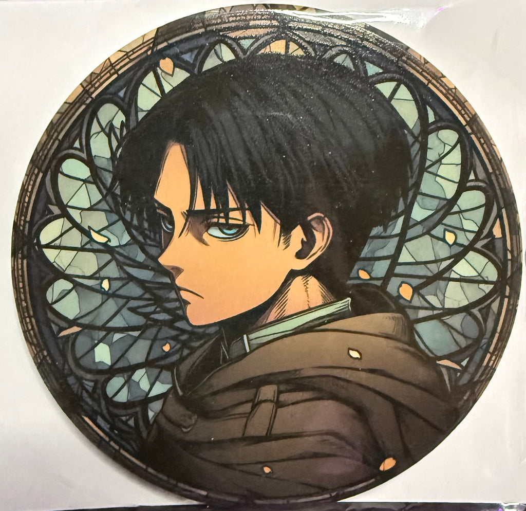 Attack on Titan Coasters